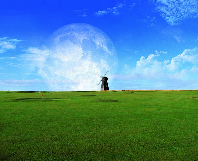 Faut-il acheter une tondeuse autoportée d'occasion ?