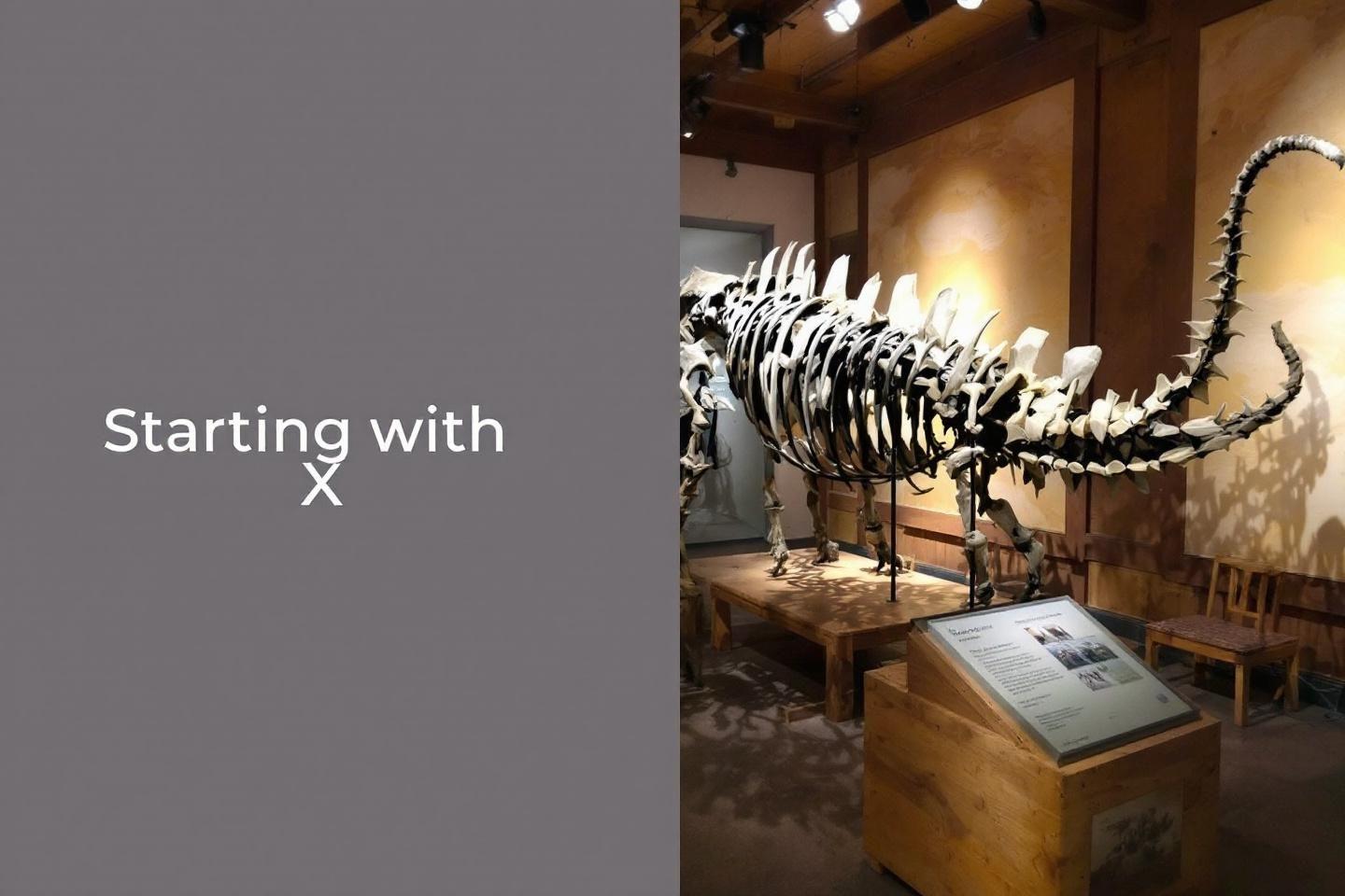 Animaux en x : découvrez la liste complète des espèces et accessoires