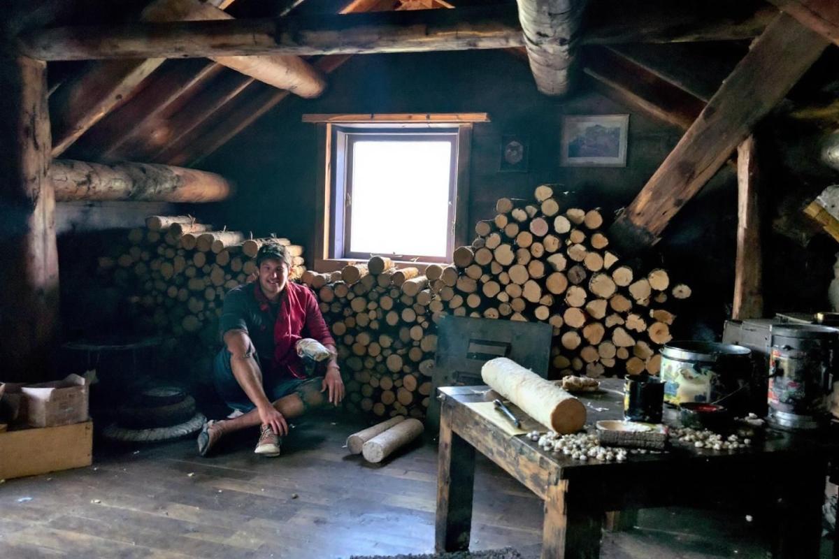 Bois et pellets : une nouvelle alternative de chauffage arrive en 2025