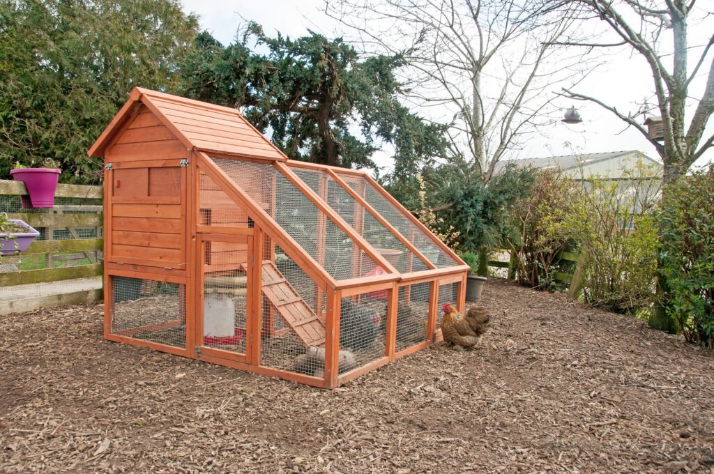 abri de jardin pour les poules