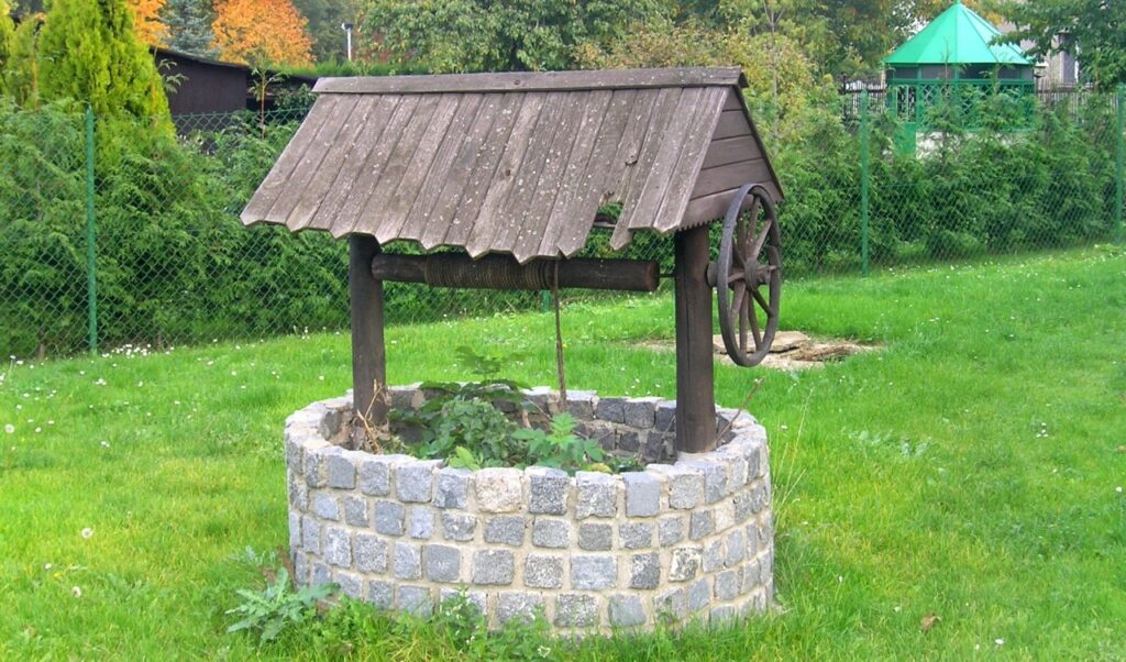 puits dans un jardin décoré de plantes