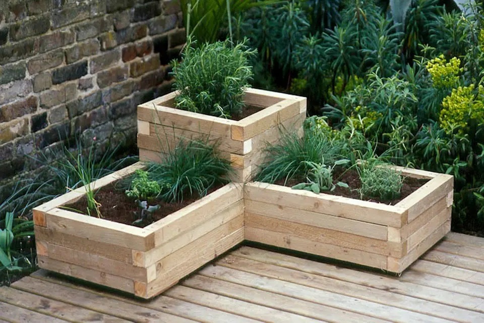 jardinière avec des plantes