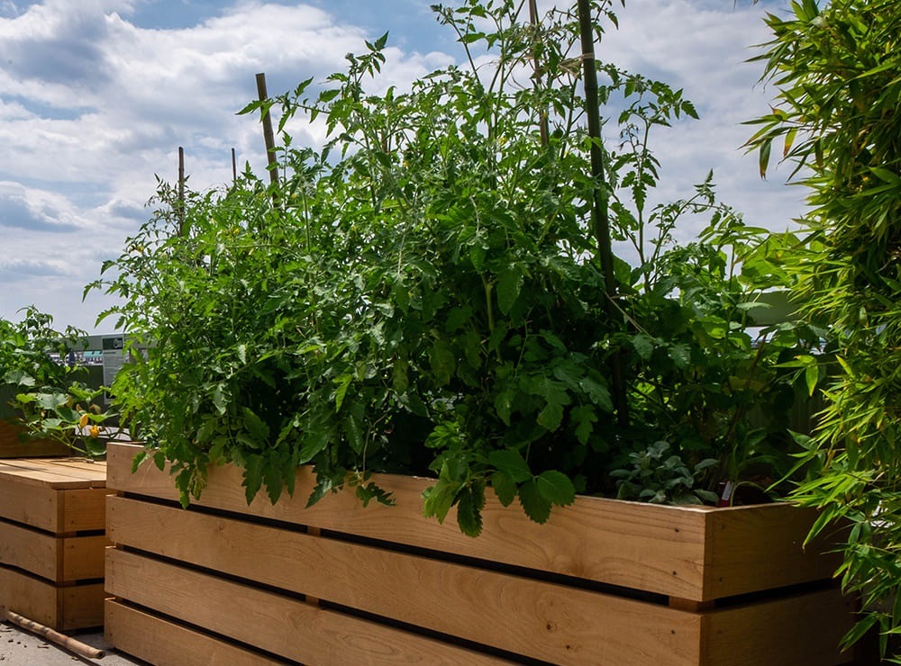 Comment faire une jardinière en bois facilement en 8 étapes ?