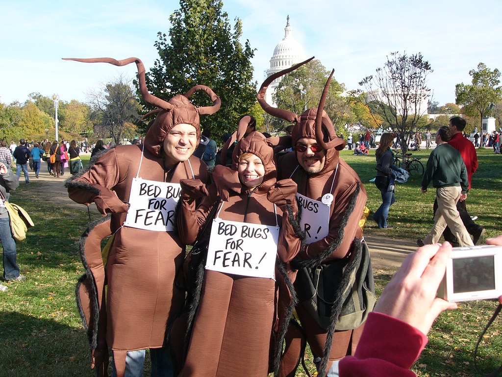 costume punaise de lit pour s'en débarrasser