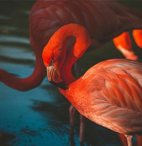 Comprendre les bénéfices économiques des bâtiments durables