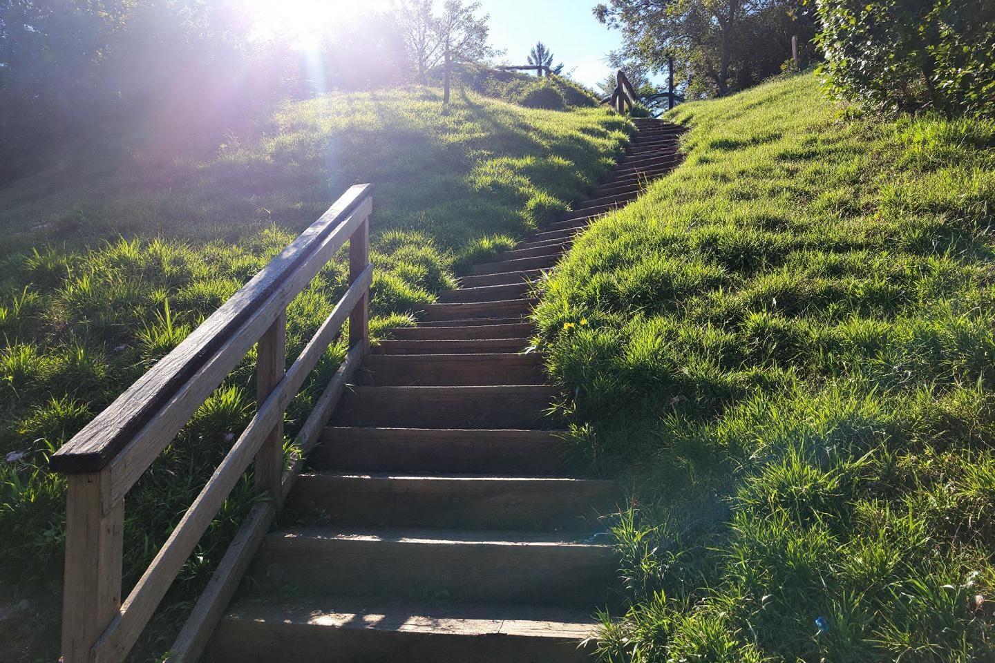 Faire un escalier dans un talus : guide pratique pour jardin en pente