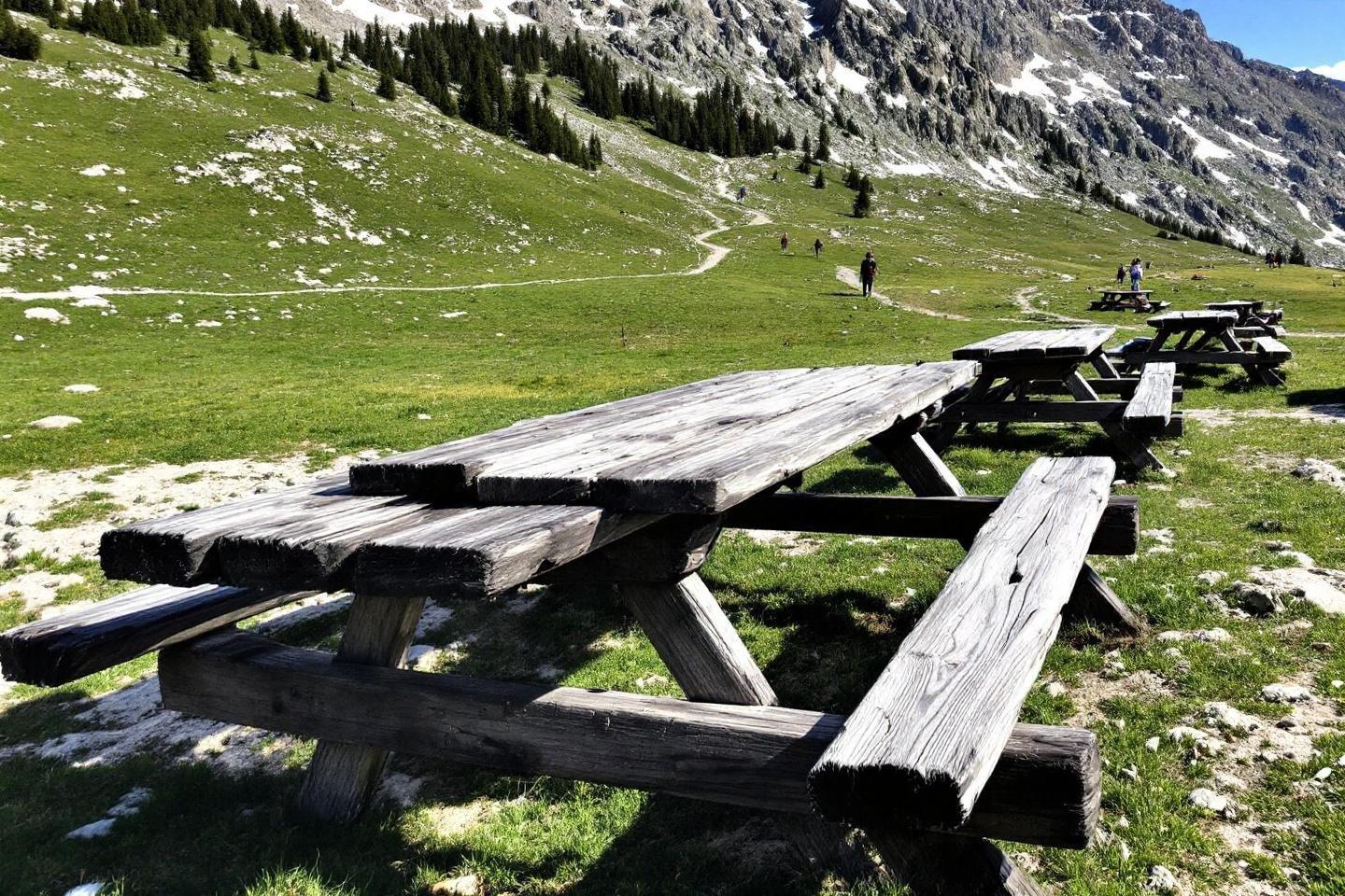 Tables en bois rustiques dans un paysage alpin verdoyant