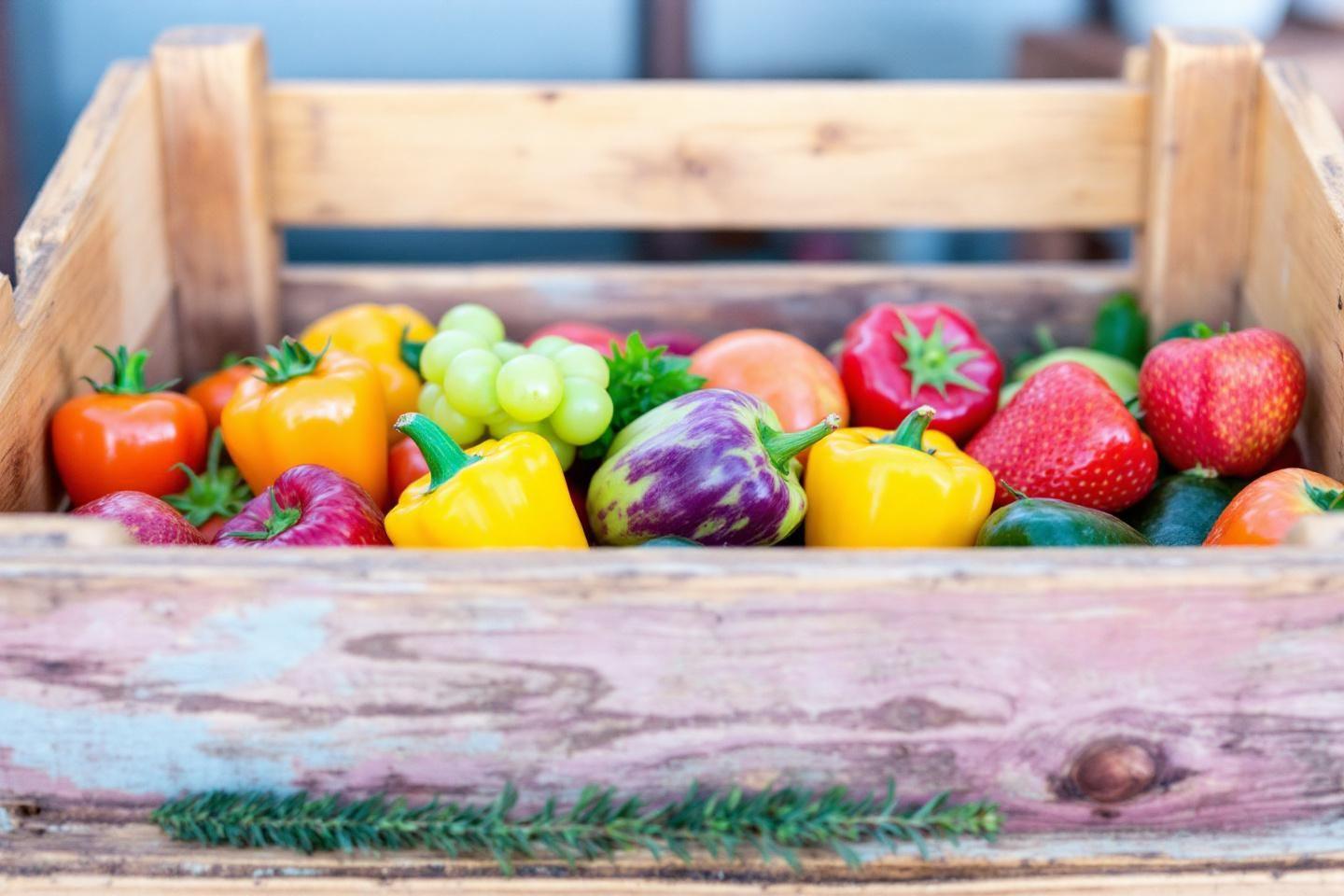 Fruit en z et légume en z : la liste complète en français