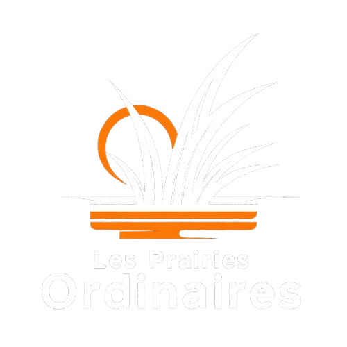 Guide pratique : Quelle isolation pour plafond choisir ?