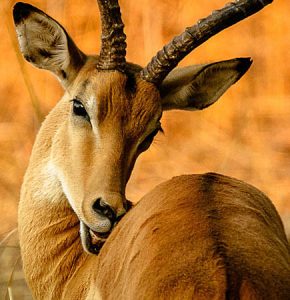 La construction durable : une nécessité pour l'avenir de notre planète