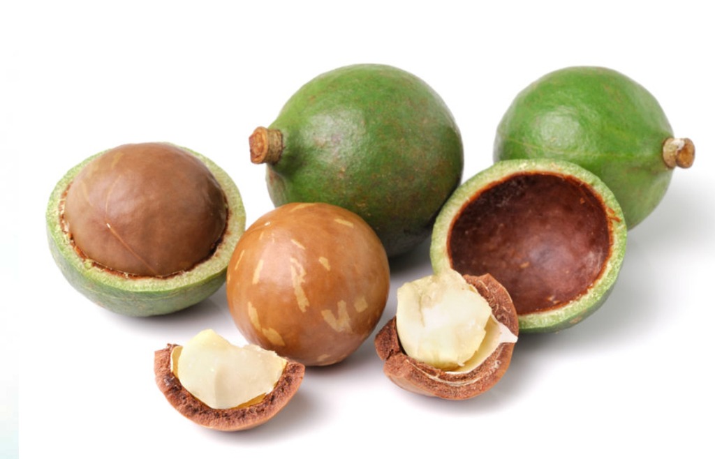 noix du macadamia