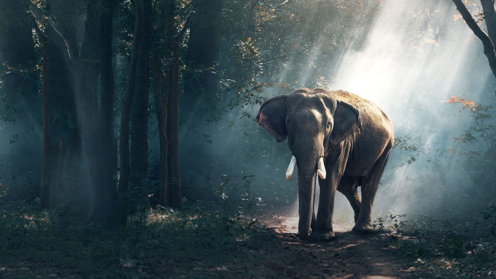 Maximisez la durée de vie de votre lave-linge : Guide d'entretien et de nettoyage