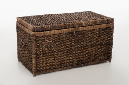 Un banc-coffre jacinthe d'eau