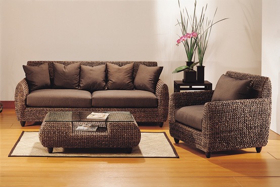 Canapé et fauteuil jacinthe d'eau