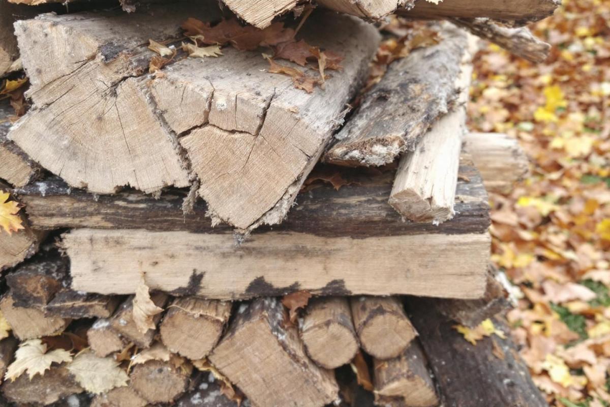 “On croyait bien faire” : leur bois de chauffage stocké depuis des mois était finalement inutilisable