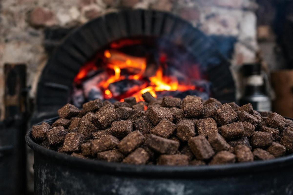 Oubliez le bois et les pellets : cette alternative à base de fruits, écolo et économique, pour chauffer votre maison cet hiver
