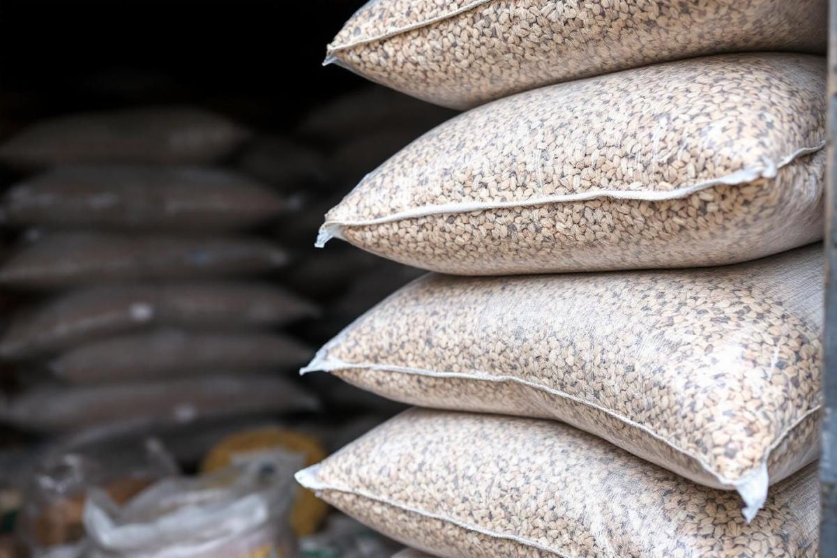 Peut-on encore utiliser sans risque des granulés de bois stockés depuis l’an dernier ? Voici l’essentiel