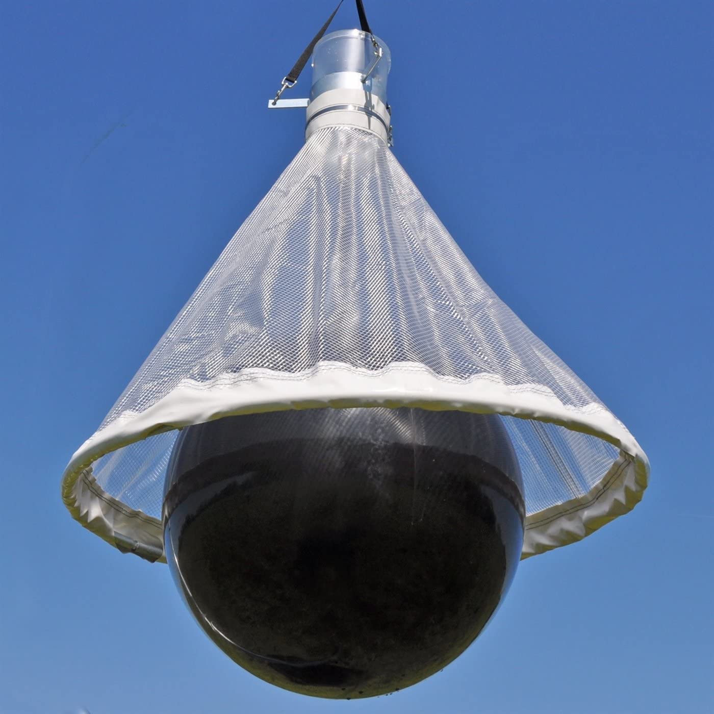 Piège à taon : tout savoir pour se débarrasser de l'insecte