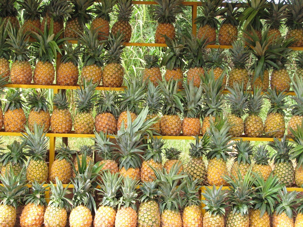 ananas
