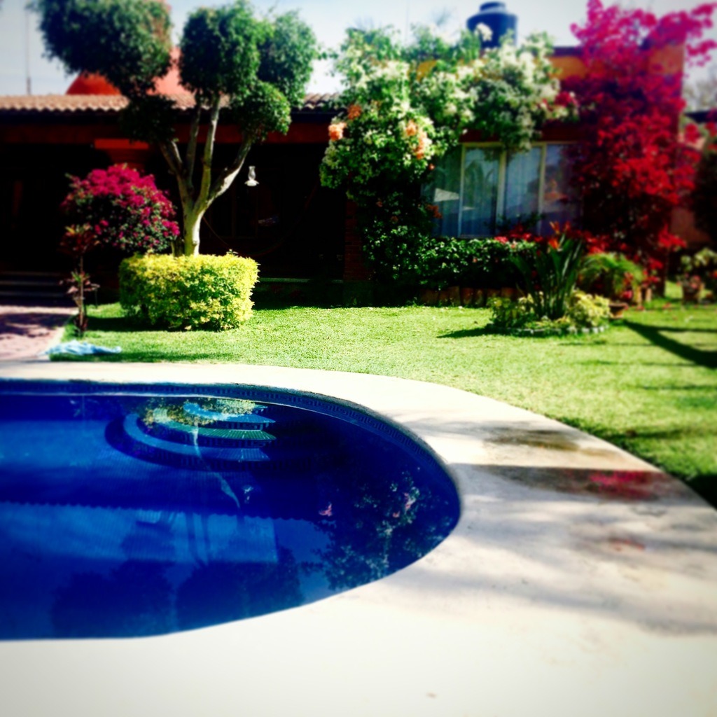 Plantes et fleurs en L