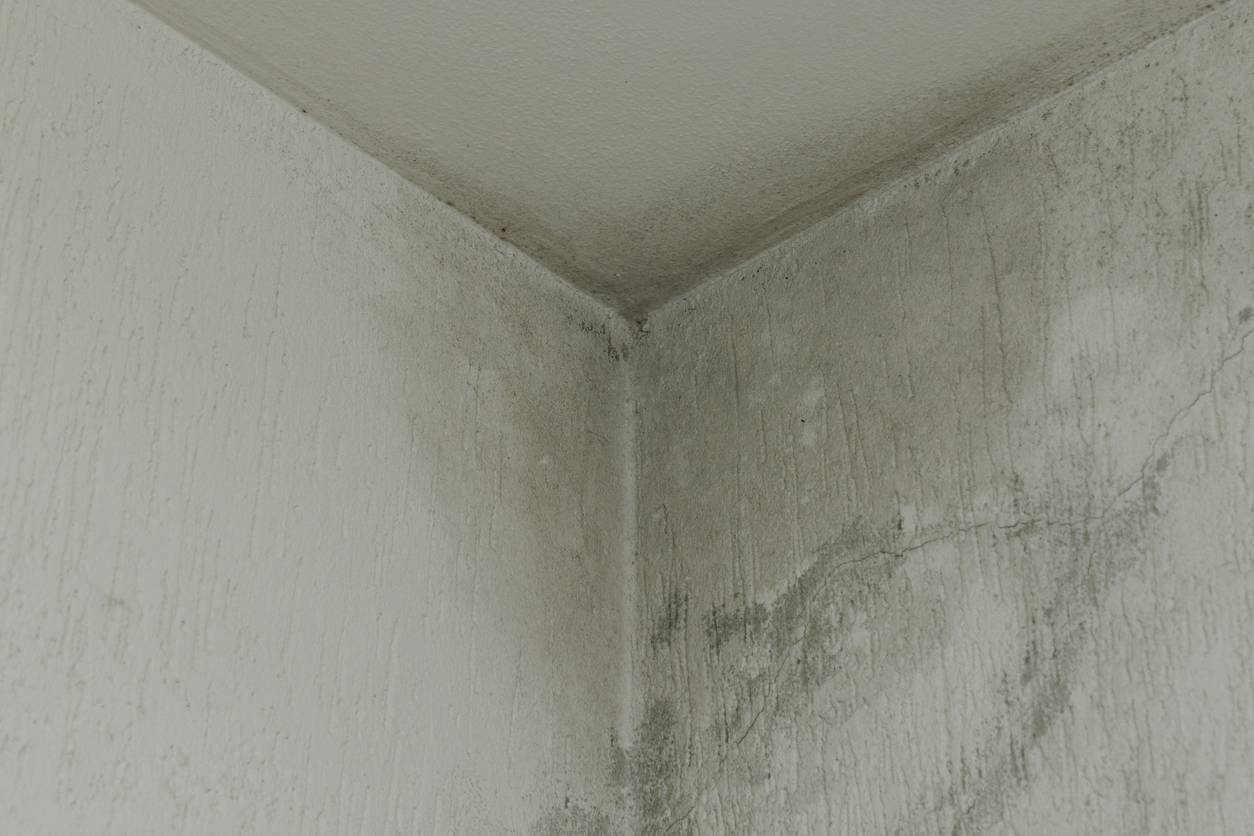 infiltration eau maison