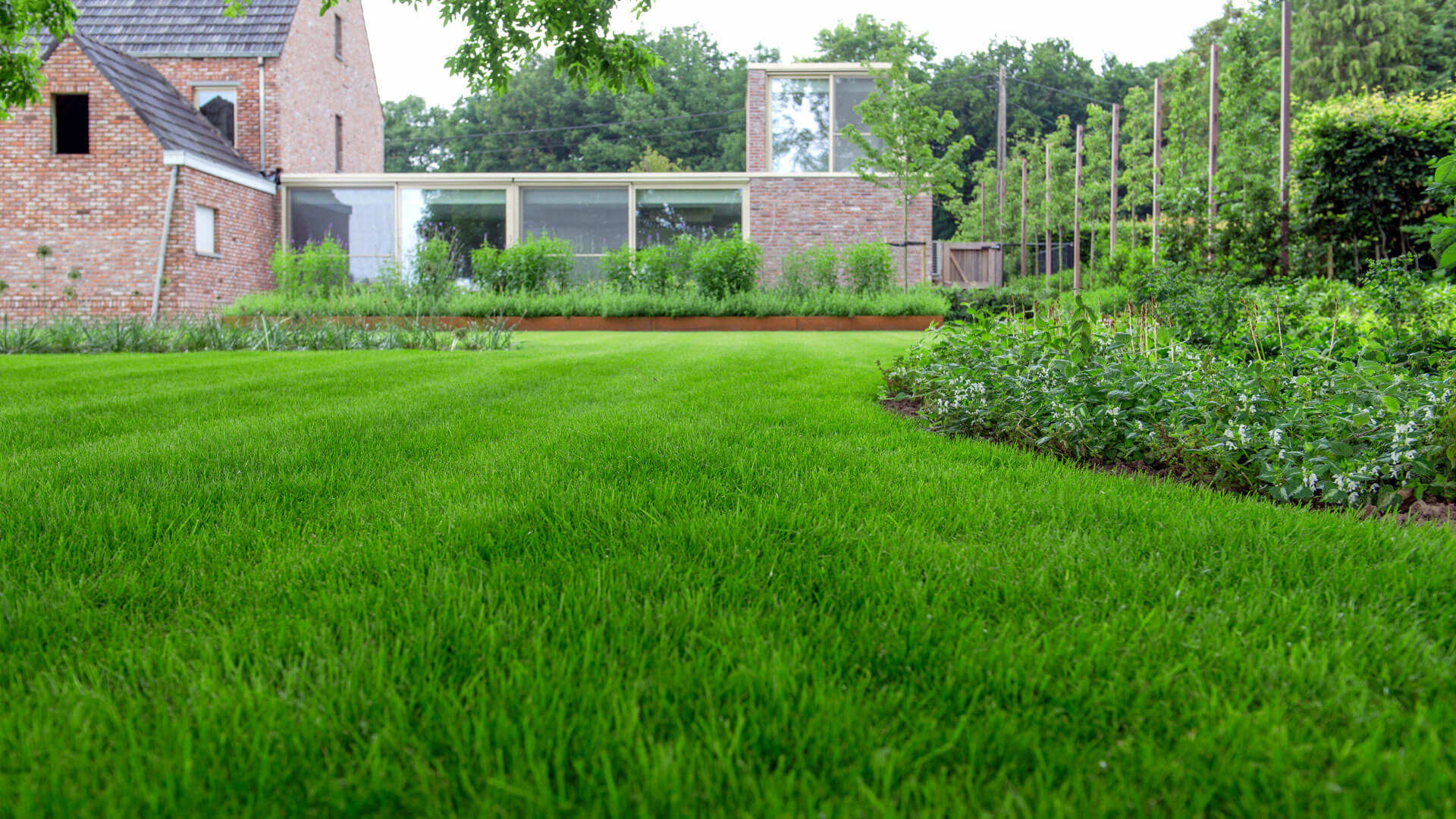 Pourquoi faut-il scarifier régulièrement sa pelouse ?