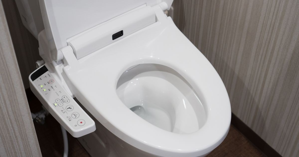 Tout savoir sur les toilettes japonaises suspendues