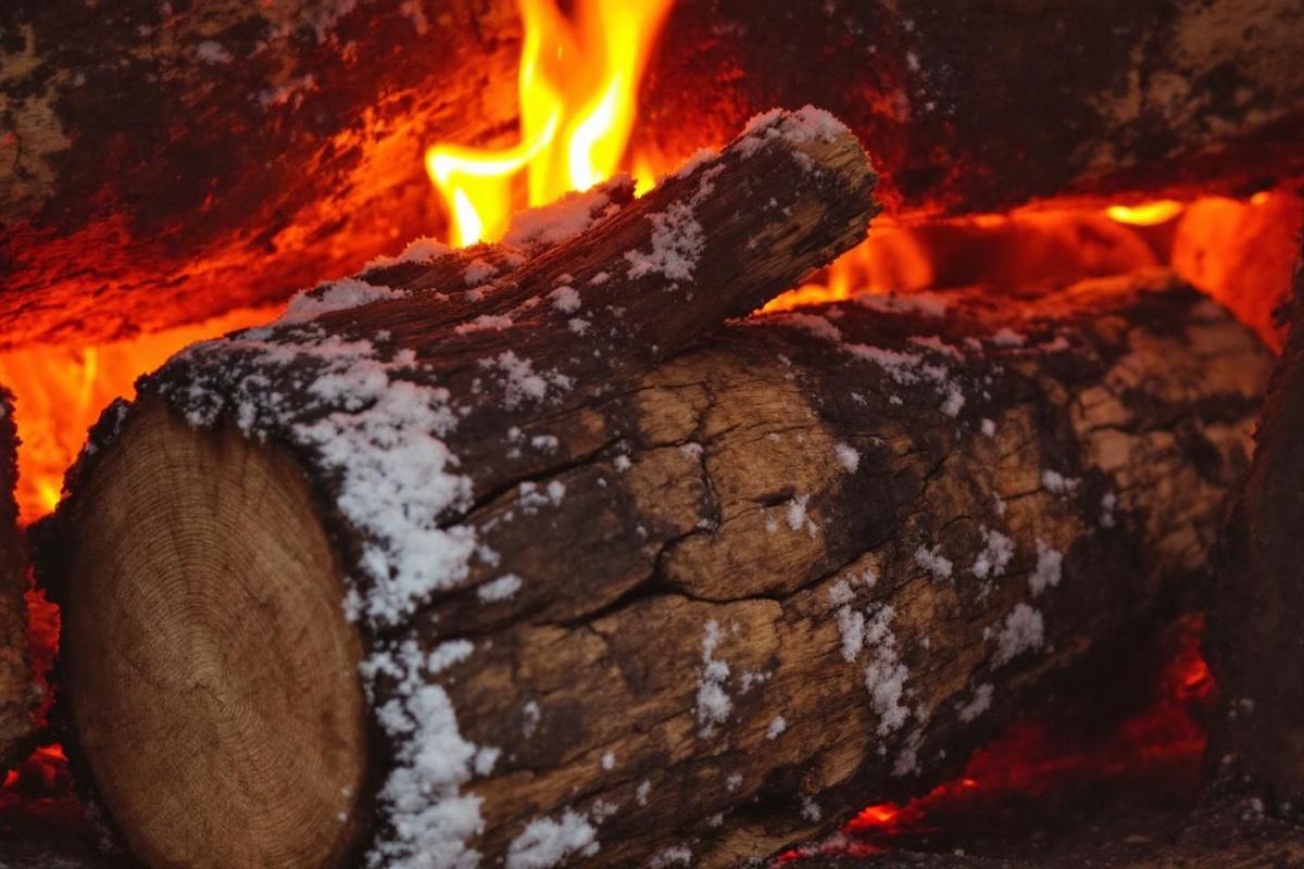 Voici l’essence de bois la plus efficace pour chauffer durablement votre maison cet hiver