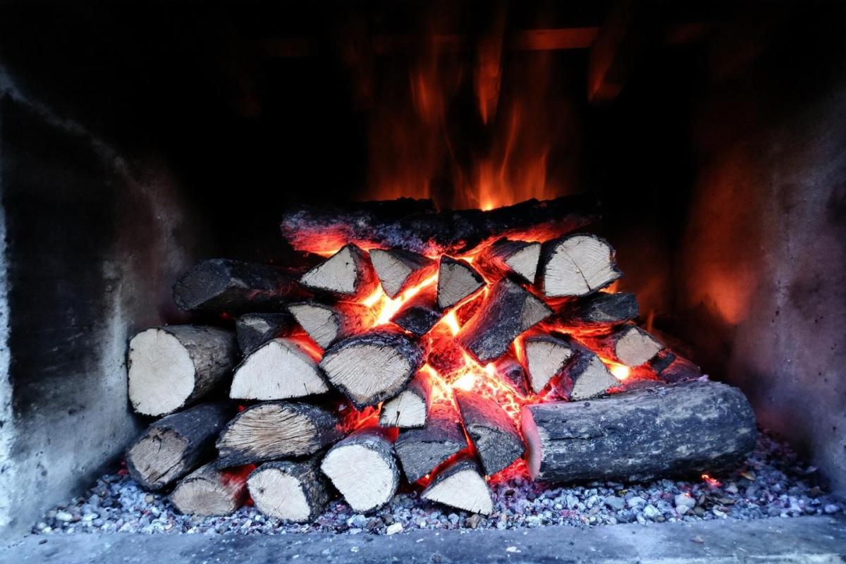 Voici l’essence de bois la plus performante pour chauffer durablement votre maison cet hiver