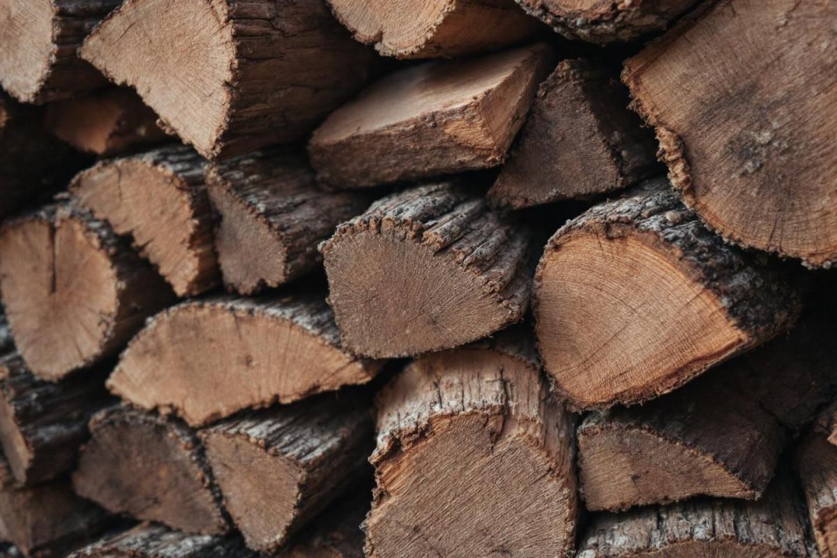 Pour vous chauffer cet hiver, choisissez ces bûches méconnues : plus rentables que le bois traditionnel