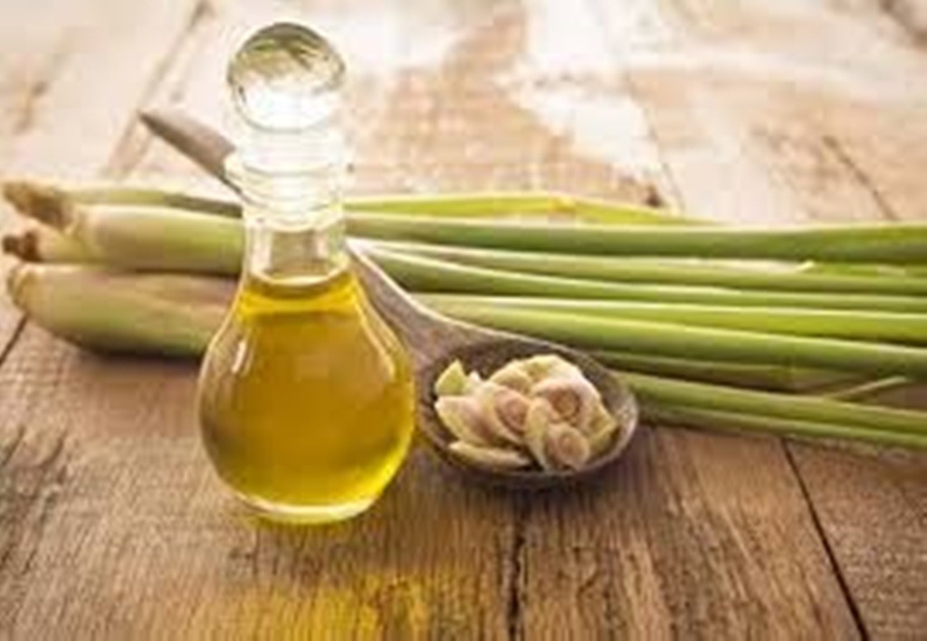 Huile essentielle de citronnelle