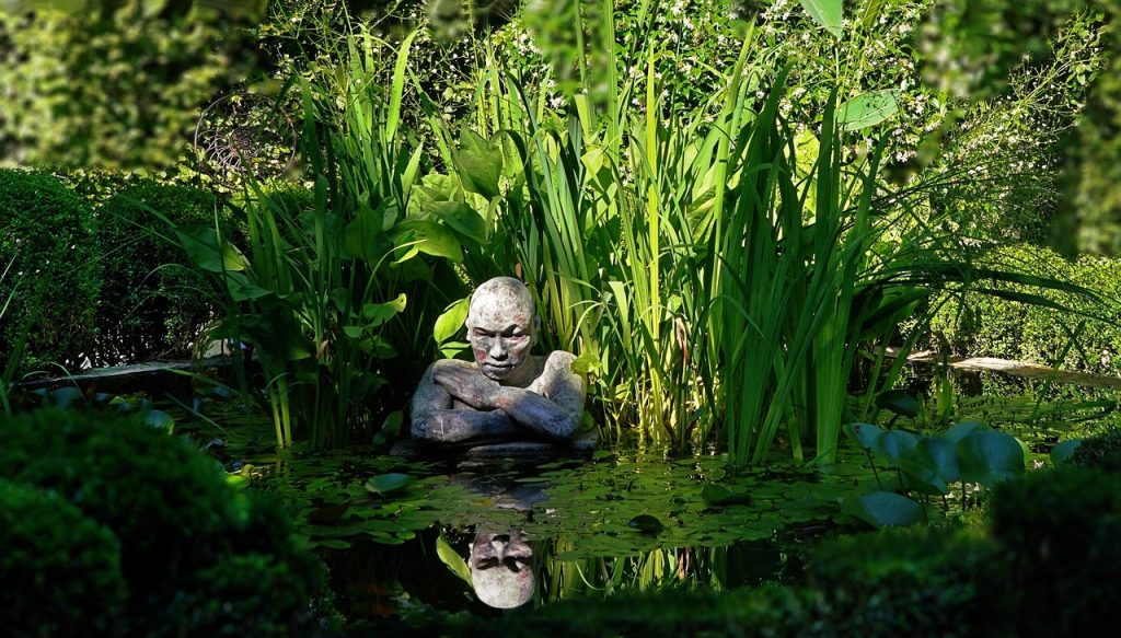 bassin de jardin