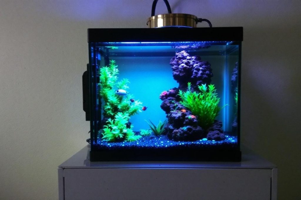 Petit aquarium lumineux avec plantes vertes et roches violettes